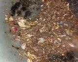 Foto langkah ke 4 dari resep Bubur Sop (Sup) Terasi.