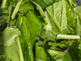 Sayur Goreng Mudah