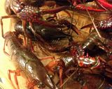 A picture of step 5 of Preparing and Serving Crayfish.