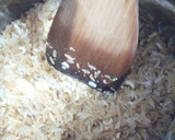 Foto del paso 4 de la receta: Arroz Frito en Aceite de Boletus  con Jamón al Wok con Calabacín y Berenjena a la Mantequilla