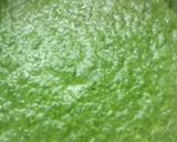 A picture of step 10 of Creamy Spinach cooked in Thermomix.