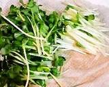 Asian Pear and Daikon Radish Sprout Salad recipe step 3 photo