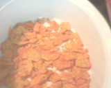 A picture of step 1 of My way Dorito Casserole.