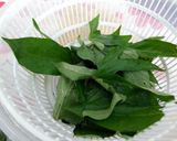 A picture of step 4 of Stir Fry Yam Leaf.