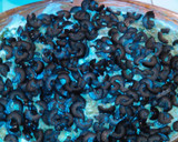 A picture of step 7 of 7 Layer dip.