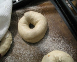 A picture of step 5 of Bagels Made With Apple Bread Starter.