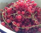 A picture of step 1 of Red Currant Sour Drink.