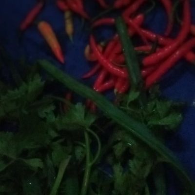 Langkah 1