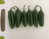 Foto del paso 5 de la receta: Ajíes Jalapeños rellenos fritos