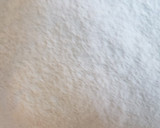 Foto del paso 1 de la receta: Ciabatta casera