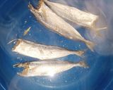 Foto langkah ke 1 dari resep Tumis tempe ikan asin serai.