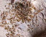 A picture of step 2 of Wheat Jaggery Malpua.