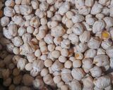 A picture of step 1 of Chickpeas and White peas Sprouts Salad.