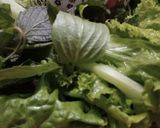 Hình bước làm 2 của món Bún thịt nướng chả giò