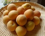 A picture of step 2 of Even Abroad! Not Umeboshi Pickled Plum, but Pickled Apricot.