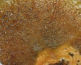 A picture of step 3 of Katsu Rice Bowl with Japanese Worcestershire-style Sauce.