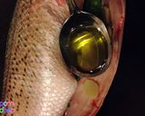 A picture of step 11 of Buying, Preparing , Cooking Fish.