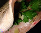 A picture of step 10 of Buying, Preparing , Cooking Fish.