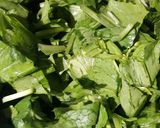 A picture of step 2 of Sarson ka saag.