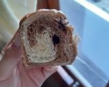 Foto langkah ke 10 dari resep Choco swirl buns.