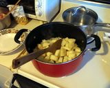 A picture of step 5 of Curry chicken.