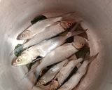 Foto langkah ke 1 dari resep Bandeng Presto Bumbu Instan.