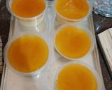 Foto langkah ke 12 dari resep Milk Sugar Dessert.
