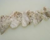 A picture of step 7 of Healthy Sake-steamed Chicken Tenders with Cabbage.