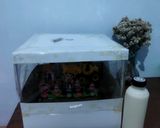 Foto langkah ke 6 dari resep Puding Ultah (base puding coklat).