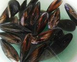 Foto del paso 1 de la receta: Mejillones a la crema