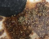 Foto del paso 2 de la receta: Ensalada César