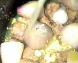 A picture of step 5 of Sig's Shallot,Date and Lamb/Tofu Tagine.