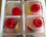 A picture of step 2 of Vickys Fun Fruit Ice Cubes, GF DF EF SF NF.