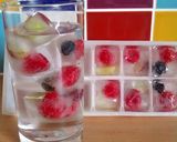 A picture of step 4 of Vickys Fun Fruit Ice Cubes, GF DF EF SF NF.