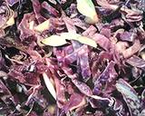 Rotkohl, Blaukraut, Rotkraut - Red Cabbage recipe step 2 photo