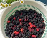 Hình bước làm 1 của món Kompot Dâu tằm