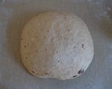 A picture of step 8 of Fruit Muesli German Country-Style Bread.