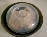 A picture of step 3 of How To Defrost Frozen Rice So It's Plump and Delicious.