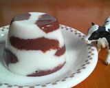 A picture of step 9 of Mr. Cow Milk Pudding.