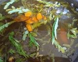 Foto langkah ke 2 dari resep Sinom segar.