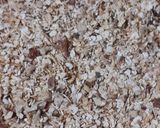 Foto del paso 1 de la receta: Trufas energéticas