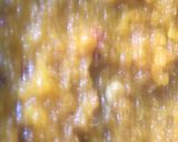 A picture of step 12 of Moong dal halwa.
