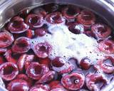 A Touch of Luxury! Bing Cherry Jelly recipe step 5 photo