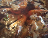 Foto del paso 3 de la receta: Fideuá mixta de conejo y gambón