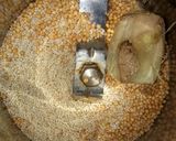 দুধ শুক্ত (Doodh shukto recipe In Bengali) রেসিপি ধাপ - 1 ছবি