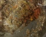 A picture of step 3 of Misal paav.