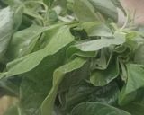 Foto langkah ke 3 dari resep Sayur Bening Bayam Jagung.