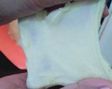 Foto langkah ke 3 dari resep Roti sobek empuk anti gagal.