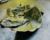 Foto del paso 8 de la receta: Higadito San Juanero