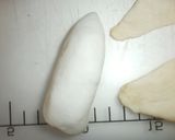 A picture of step 3 of Bamboo Shoot Shaped bread.